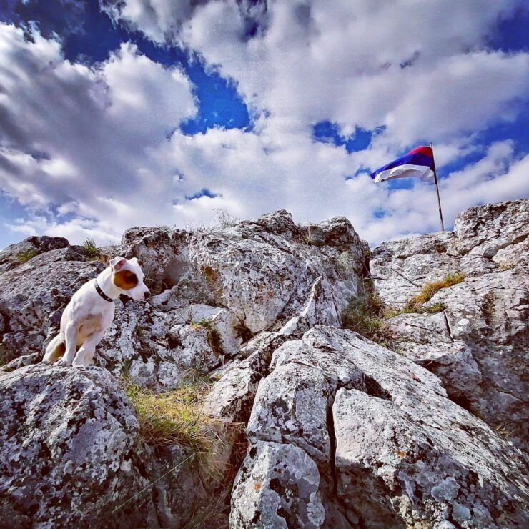 Prirodni-gospodin-voli-planinarenje-2048×1536-1