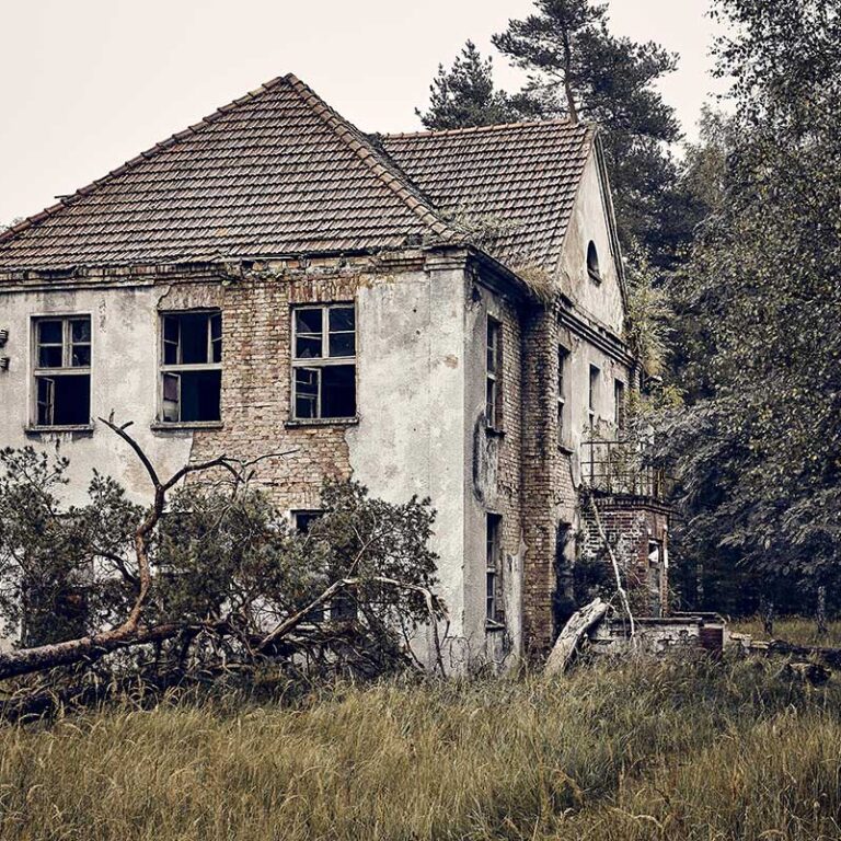 old-abandoned-house-on-a-grassy-field-surrounded-b-2023-11-27-05-13-55-utc